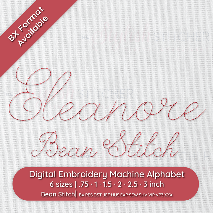 Photograph of Eleanore Bean Stitch embroidery font
